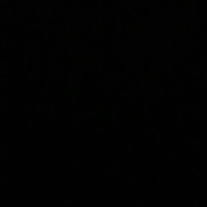 Meet your Posher, Kaitlin